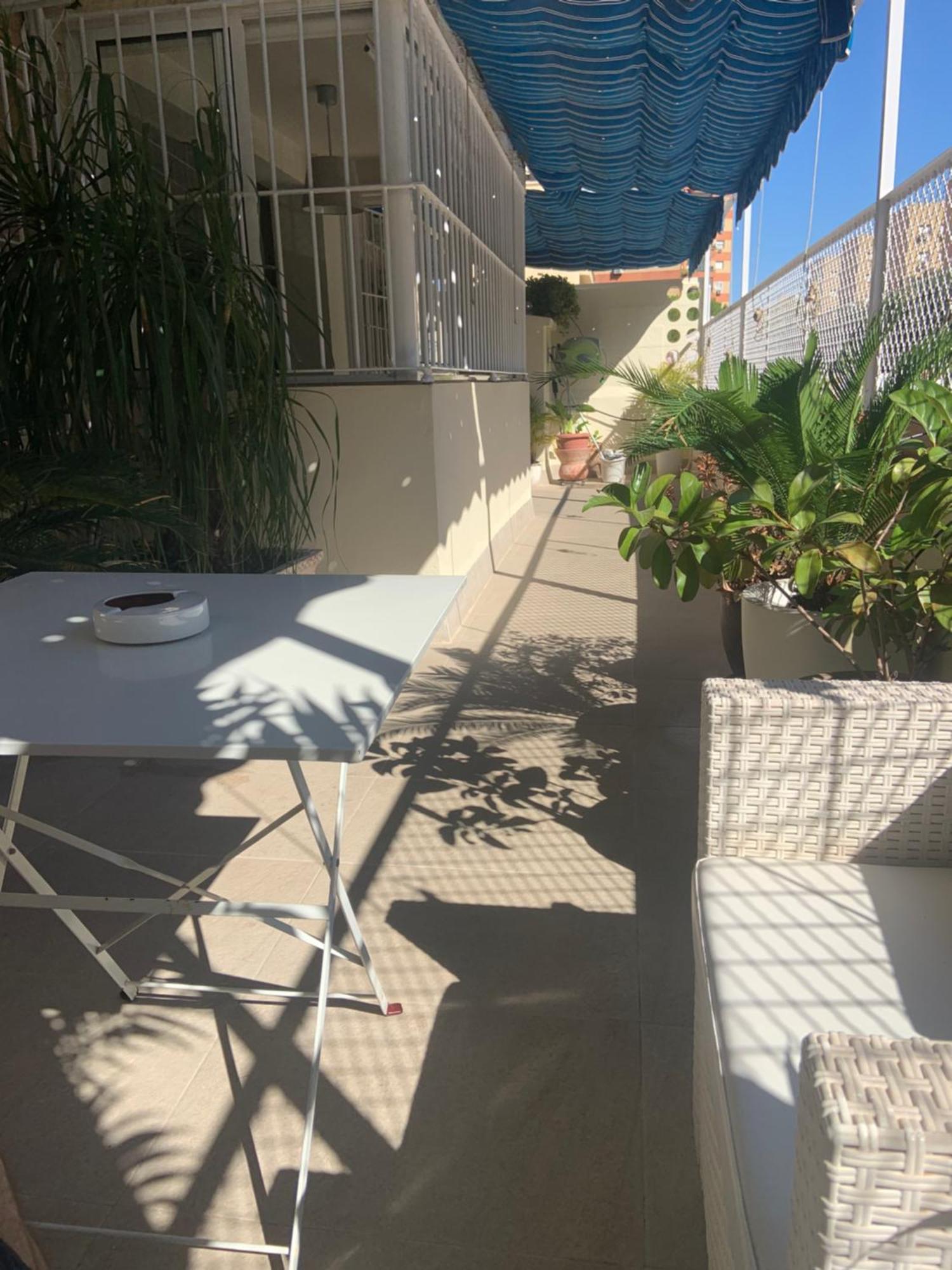 Apartamento Jardin Cerca Del Centro 세비야 외부 사진